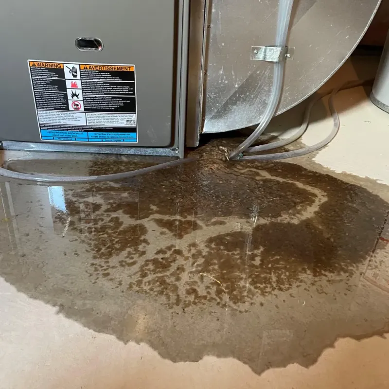 Appliance Leak Cleanup in Winona Lake, IN